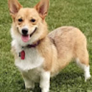 Meet your Posher, Mahli